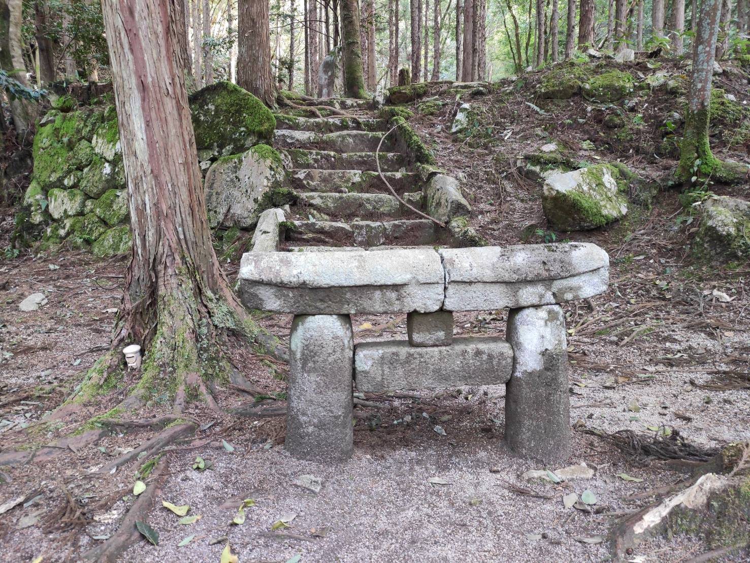 鳥取のパワースポット 世界一小さな鳥居 佐治町熊野神社跡 おじろーblog